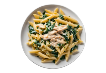 High Protein Gluten Free Chicken Pasta With Cream Spinach Sauce- 350 g